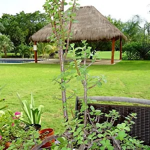 Bed and breakfast Mom's House, Puerto Aventuras